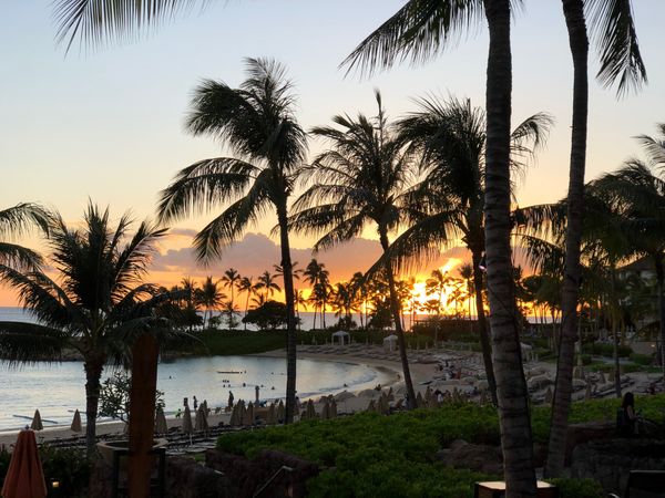 What I wish I knew going to Disney's Aulani Resort for the First Time